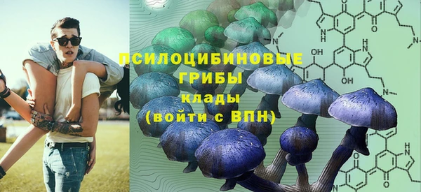 2c-b Абинск
