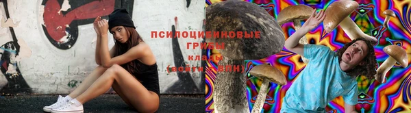 мескалин Абаза