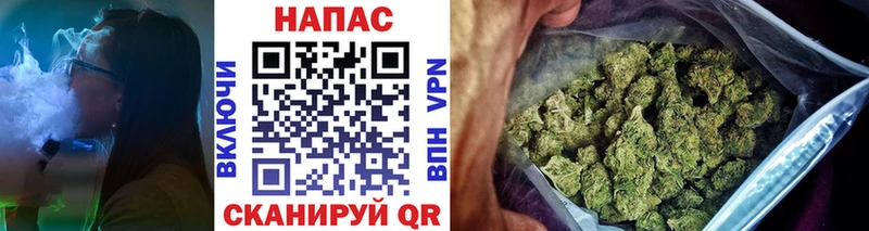 где продают   Югорск  Конопля семена 
